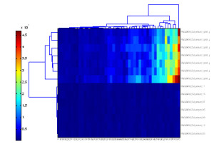 MsCompare_Cluster